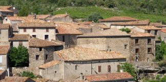 Jaka skarpeta do ortezy?