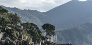 Ile kosztuje Gua Sha? Ile kosztuje Gua Sha?