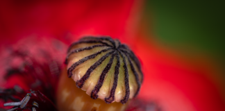 O czym świadczy brak pamięci?