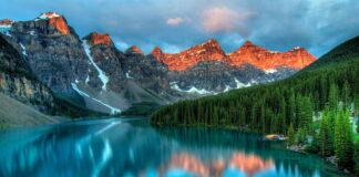 Czy woda utleniona jest dobra na kamień nazębny?