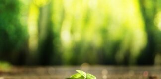 Jak samemu znaleźć źródło wody? Jak samemu znaleźć źródło wody?