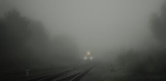 Czy można Połknąć Listerine?