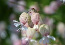 Jak mocno powinna być napompowana piłka?