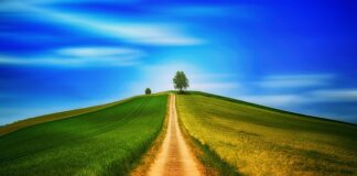 Jak się chodzi w ortezie?