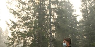 Jak oczyścić organizm z pasożytów i toksyn? Jak oczyścić organizm z pasożytów i toksyn?