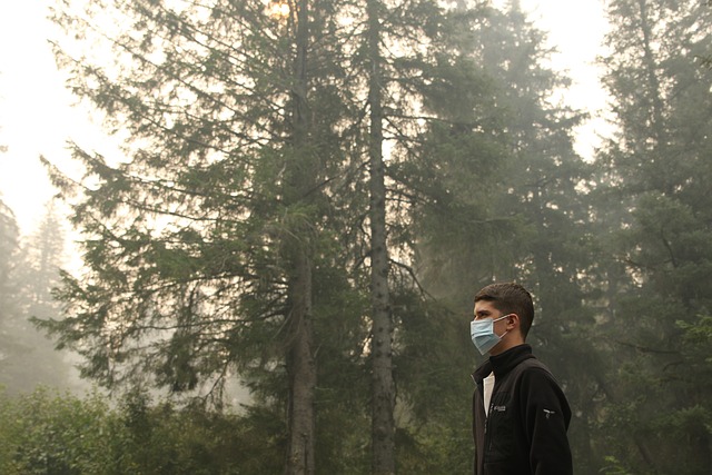 Jak oczyścić organizm z pasożytów i toksyn? Jak oczyścić organizm z pasożytów i toksyn?