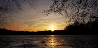 Czy wybitym barkiem można ruszać? Czy wybitym barkiem można ruszać?