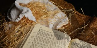 Co zamiast pieluch dla dorosłych?