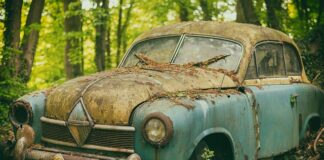 Jak poprawić pamięć po 50? Jak poprawić pamięć po 50?