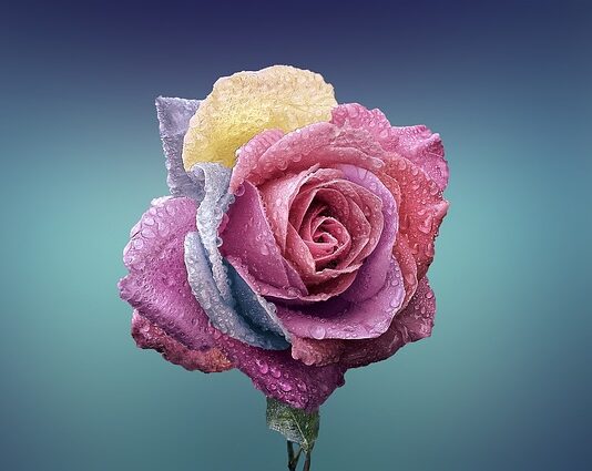 Jak zrobić płatki kosmetyczne?