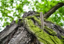 Czy zastrzyki przeciwzakrzepowe mogą zaszkodzić? Czy zastrzyki przeciwzakrzepowe mogą zaszkodzić?