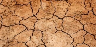 Co zrobić na suchość w jamie ustnej? Co zrobić na suchość w jamie ustnej?