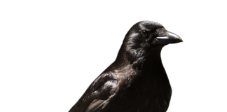 Ile zwolnienia po złamaniu? Ile zwolnienia po złamaniu?