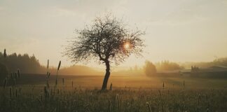 Czym przemywać otwarte rany? Czym przemywać otwarte rany?