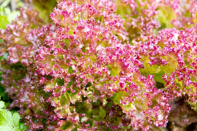 Czy pościeli pranie na lewej stronie? Czy pościeli pranie na lewej stronie?