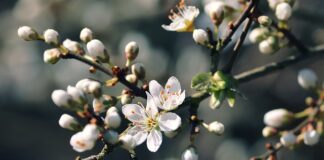 Czy Octenisept jest dobry na trądzik? Czy Octenisept jest dobry na trądzik?