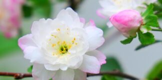 Ile jest rodzajów podpasek? Ile jest rodzajów podpasek?