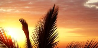 Co jest dobre na stan zapalny dziąseł? Co jest dobre na stan zapalny dziąseł?