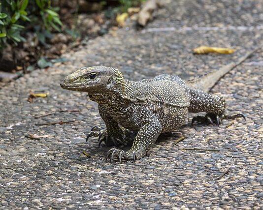 Czy potrzebne jest skierowanie do laryngologa prywatnie?