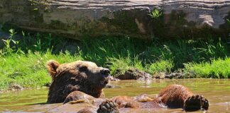 Jak odświeżyć umysł? Jak odświeżyć umysł?