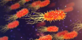 Jak Przepłukać organizm? Jak Przepłukać organizm?