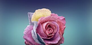 Czy płatki pod oczy szczypią? Czy płatki pod oczy szczypią?